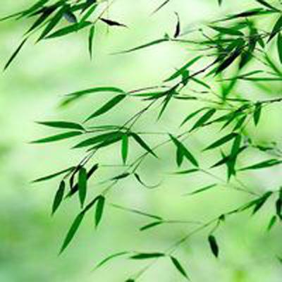 战双帕弥什无限黑卡版下载
